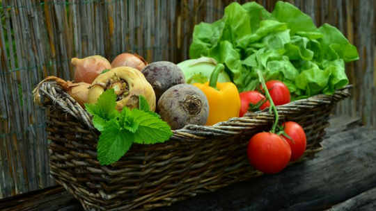 ORGANIC DIET TO HEALTHIER SKIN