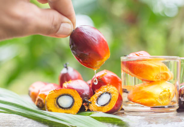 Sustainable Skin Care: Palm Oil