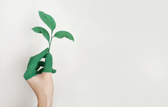 7 Steps to Take Toward Sustainable Living