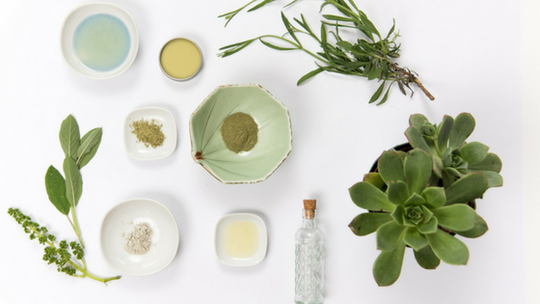 Vegan Treasure Hunter Loves Fivesso